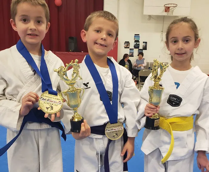Olympic Tae Kwon Do Academy Picture 8