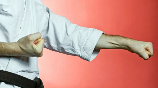 Yoseikan Anderson Karate School Picture 1