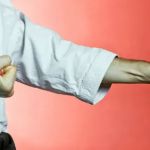 Yoseikan Anderson Karate School