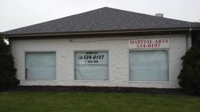 Martial Arts America Independe Picture 2