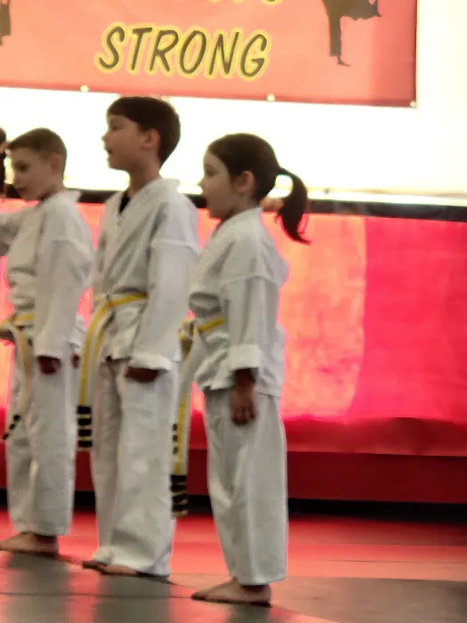 Martial Arts America Independe Picture 6