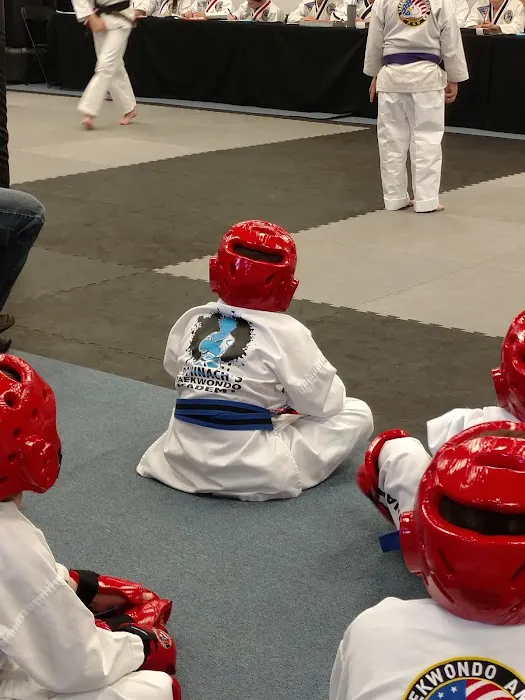 Dominach's Taekwondo Academy Picture 3