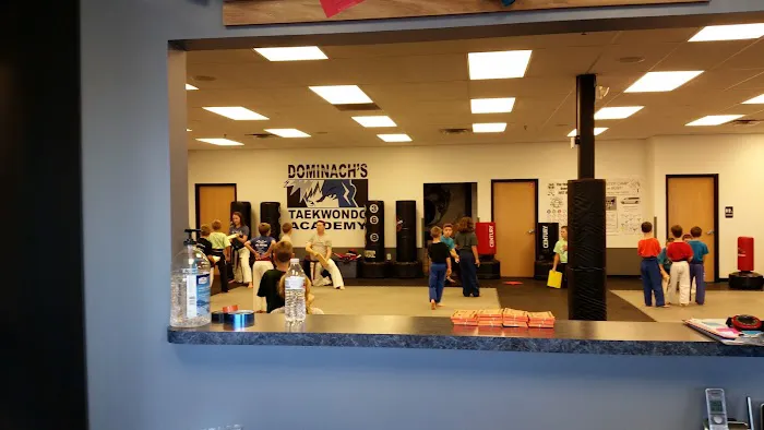 Dominach's Taekwondo Academy Picture 4