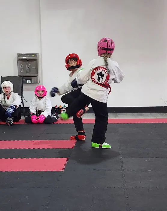 McClendon Martial Arts Picture 5