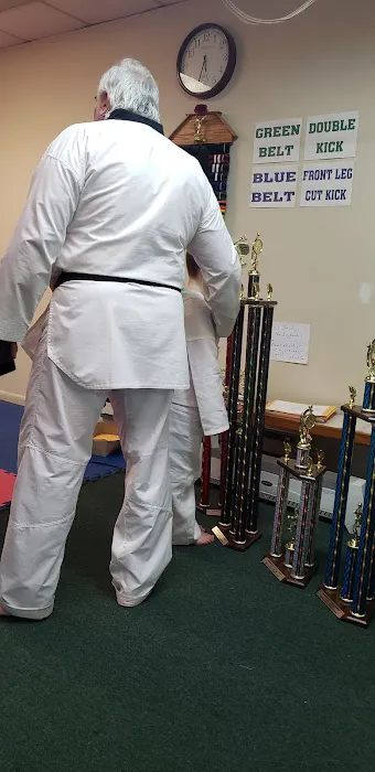 McFeeders Tae Kwon Do Academy Picture 1