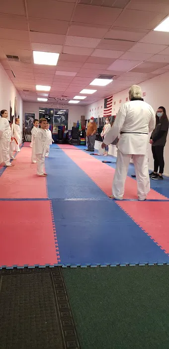 McFeeders Tae Kwon Do Academy Picture 2