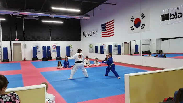 Asian Sun Martial Arts Taekwondo Karate of Green Uniontown Portage Lakes Akron Picture 4