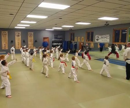 Impact Martial Arts