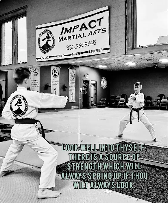 Impact Martial Arts Picture 3