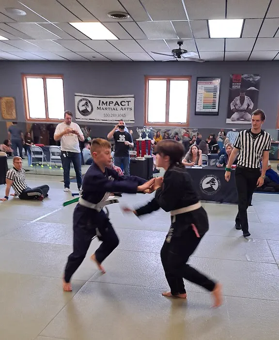 Impact Martial Arts Picture 8