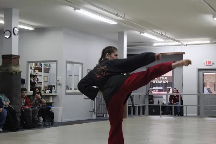 The Art of Karate Picture 1