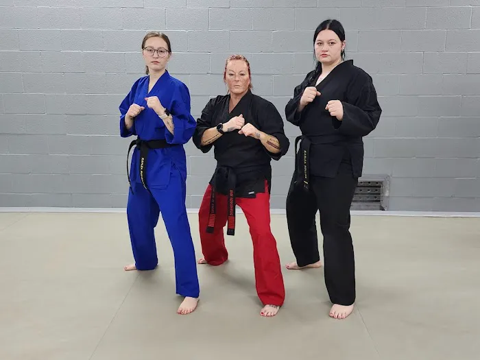 The Art of Karate Picture 6
