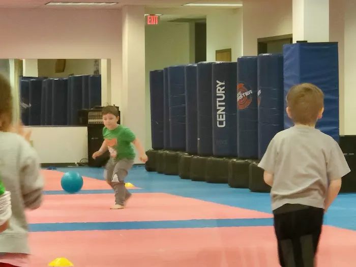 Asian Sun Martial Arts Taekwondo Karate Tallmadge Cuyahoga Falls Picture 2