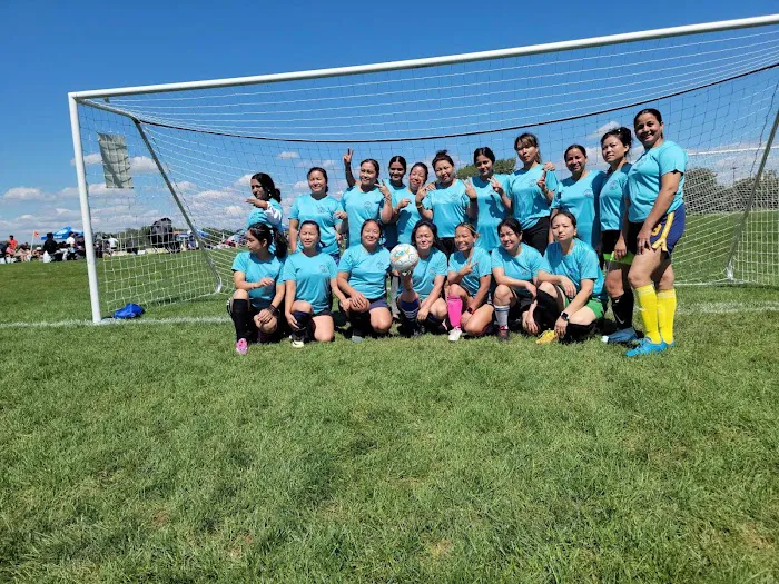 Sunshine Taekwondo Academy Picture 4