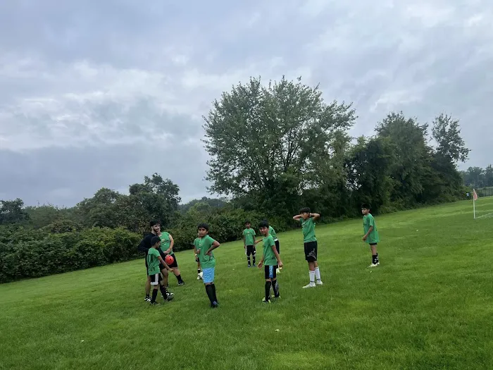 Sunshine Taekwondo Academy Picture 2