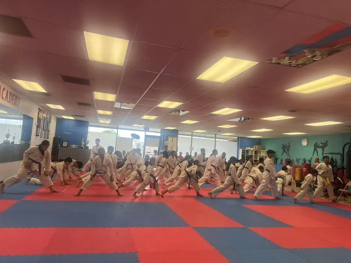 Sunshine Taekwondo Academy Picture 6