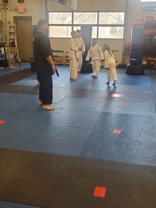 Zahand's Martial Arts Picture 8