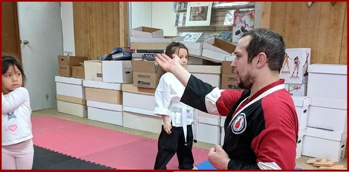Grandmaster Chun Tae Kwon Do Picture 10