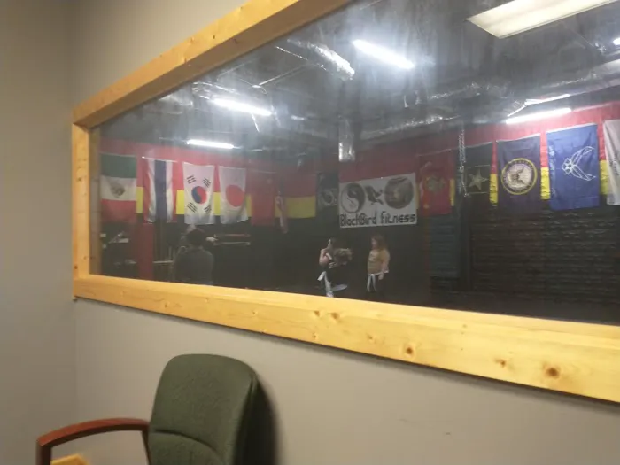 BlackBird Martial Arts and Self Defense Academy Picture 1