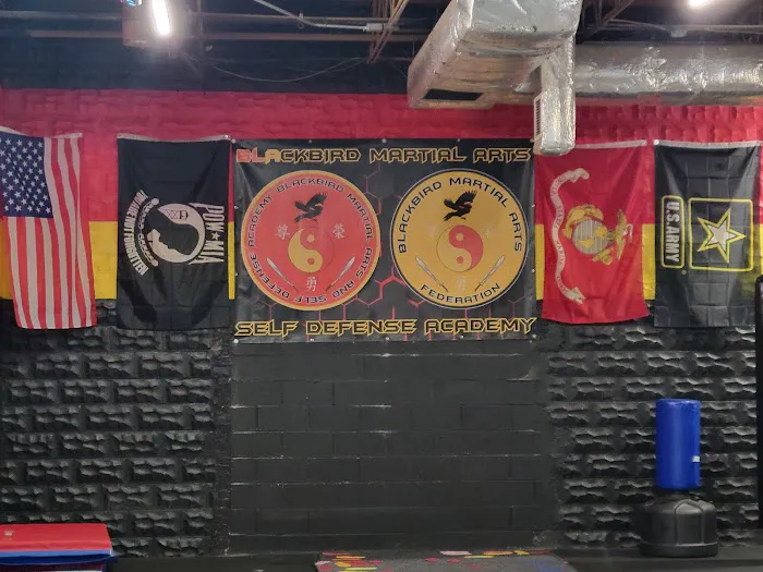 BlackBird Martial Arts and Self Defense Academy Picture 2