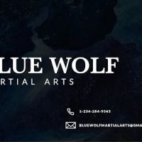 Blue Wolf Martial Arts ico