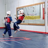 World Champion Martial Arts ico