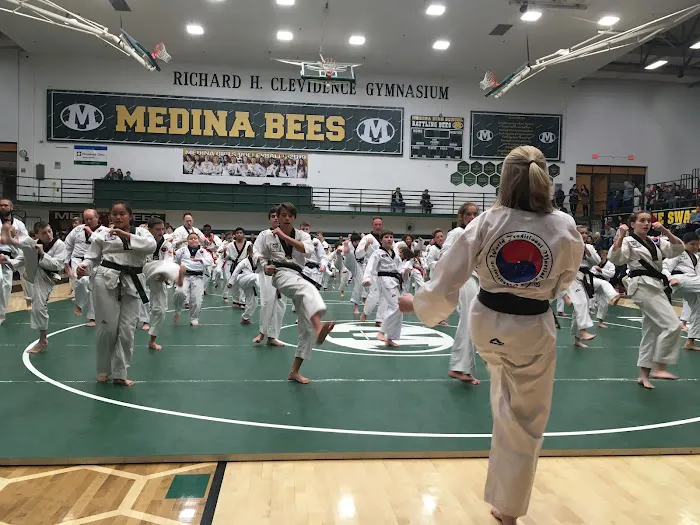 Kim's College of Martial Arts Picture 5