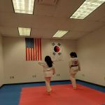 Asian Sun Martial Arts Taekwondo Karate of Hudson