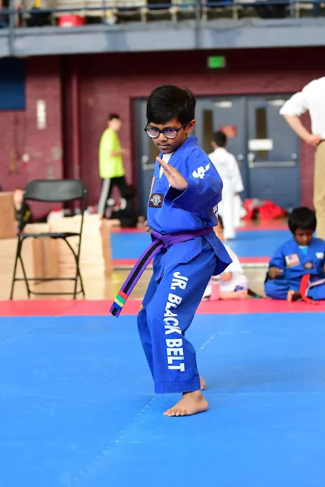 Master Kwon's World Champion Taekwondo Martial Arts Picture 7