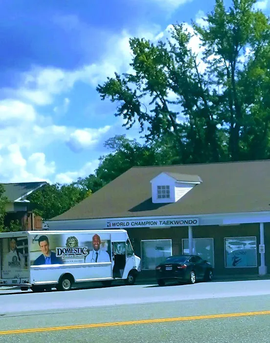 Master Kwon's World Champion Taekwondo Martial Arts Picture 10