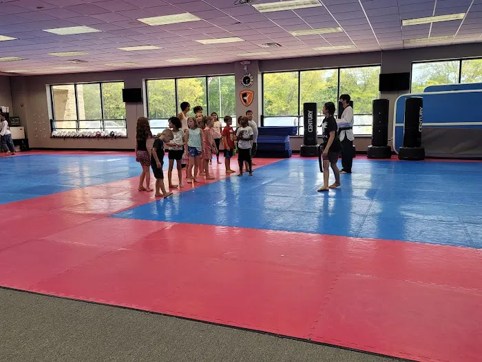 World Champion Taekwondo Academy Picture 7