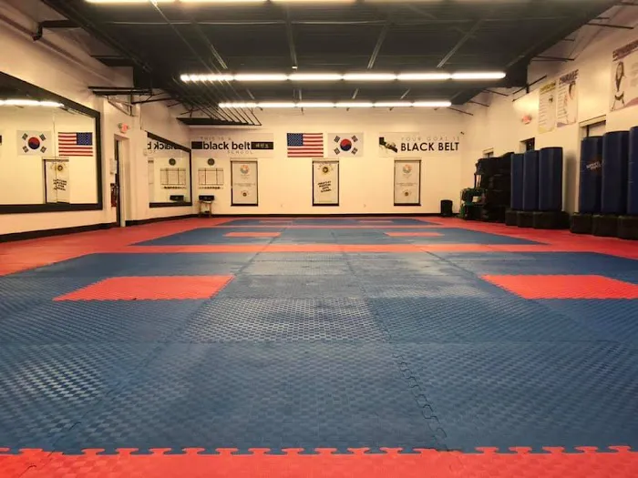 Asian Sun Martial Arts Taekwondo Karate of Brecksville Broadview Heights Picture 2