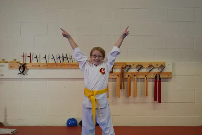 Okinawa Karate Of Twinsburg Picture 3
