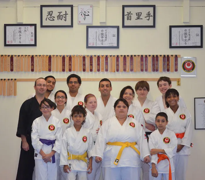 Okinawa Karate Of Twinsburg Picture 2