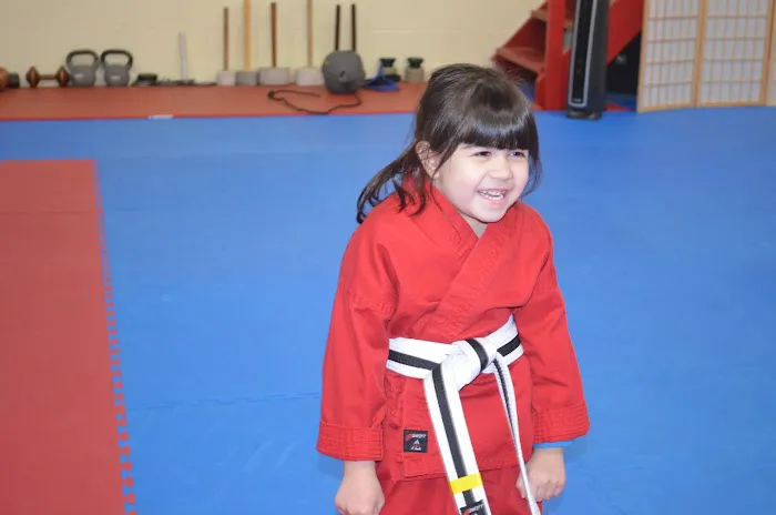Okinawa Karate Of Twinsburg Picture 6