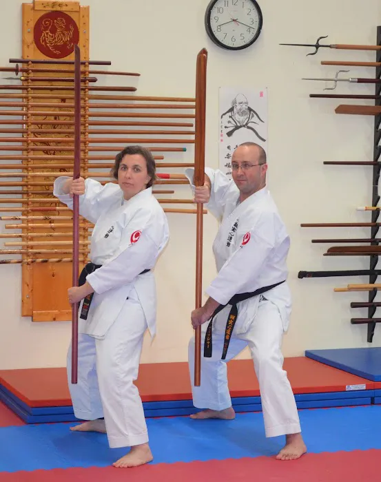 Okinawa Karate Of Twinsburg Picture 10
