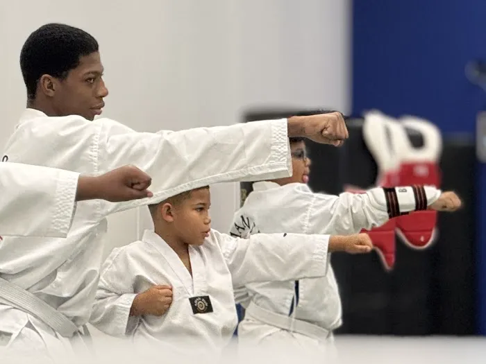 Asian Sun Martial Arts Taekwondo Karate of Macedonia Picture 5