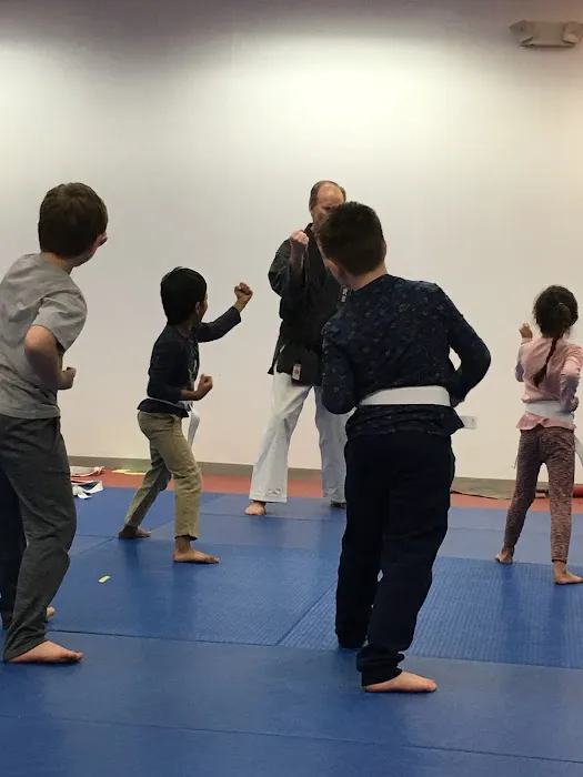 Jeff Ellis'International Karate Centers Picture 2