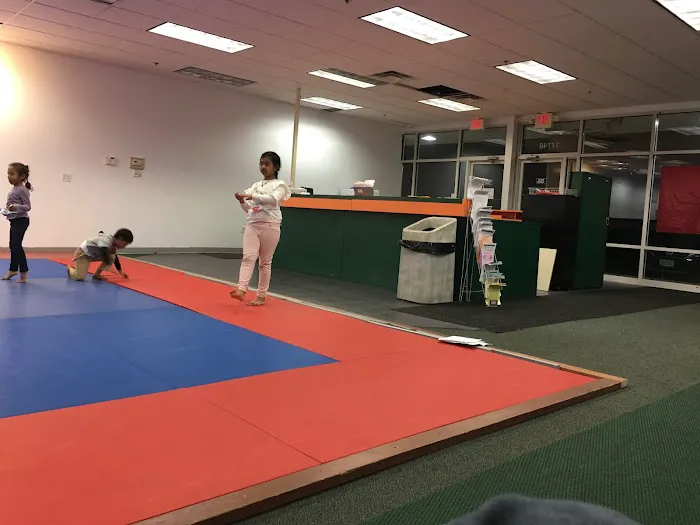 Jeff Ellis'International Karate Centers Picture 3