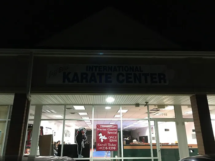 Jeff Ellis'International Karate Centers Picture 5