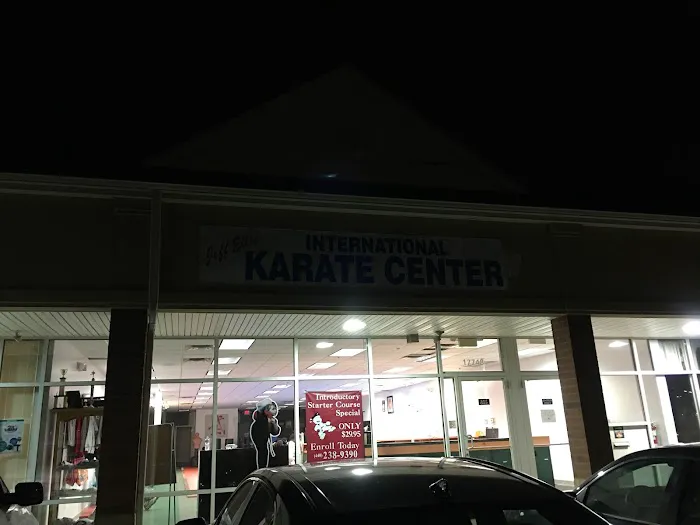 Jeff Ellis'International Karate Centers Picture 6