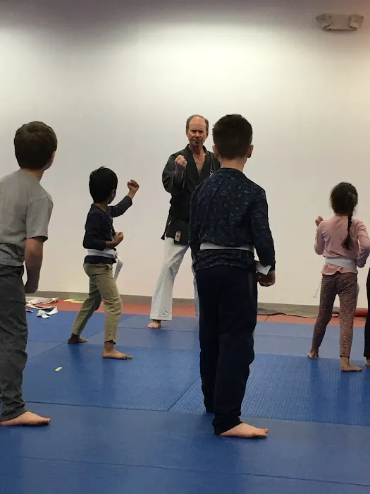 Jeff Ellis'International Karate Centers Picture 1