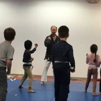 Jeff Ellis'International Karate Centers ico