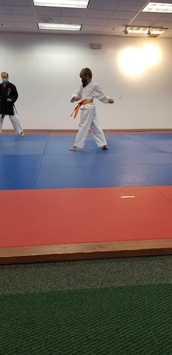 Jeff Ellis'International Karate Centers Picture 10