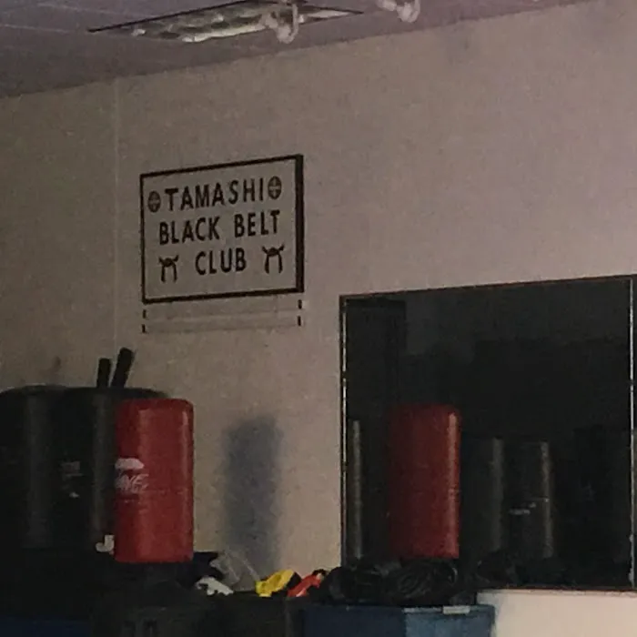 Jeff Ellis'International Karate Centers Picture 8