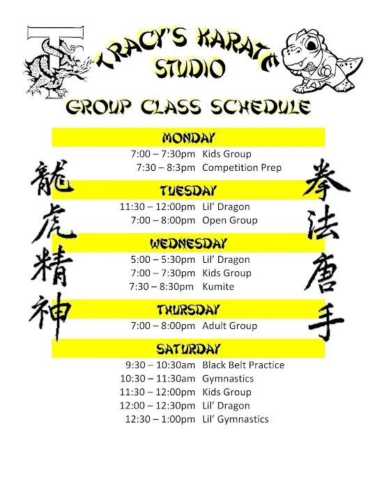 Tracy's Karate Studio Picture 7