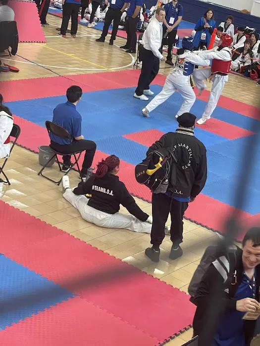 Boa School Of Martial Arts Picture 10