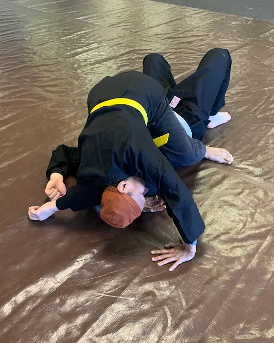 Devil Dog Martial Arts Picture 4