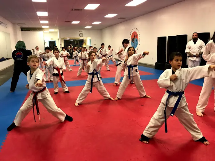 Inspire Martial Arts Picture 6