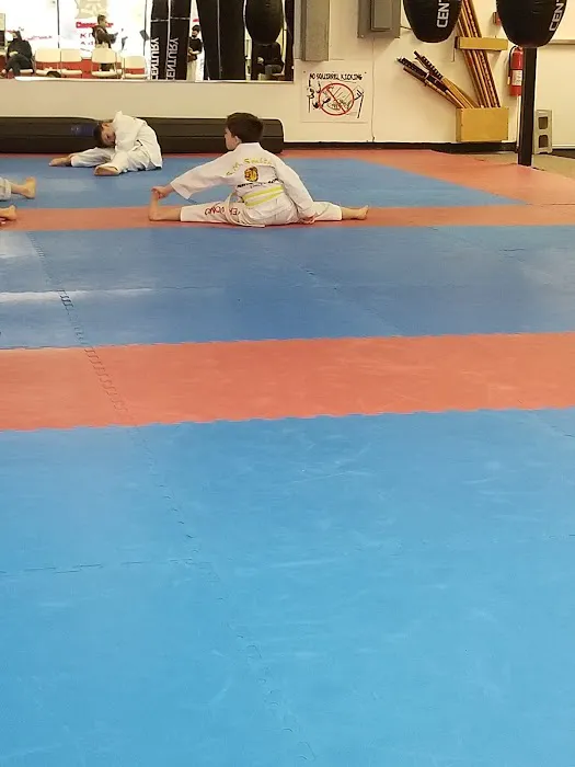 S M Smith Martial Art Picture 7
